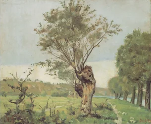 Wilgen bij de Jonction bij Genève